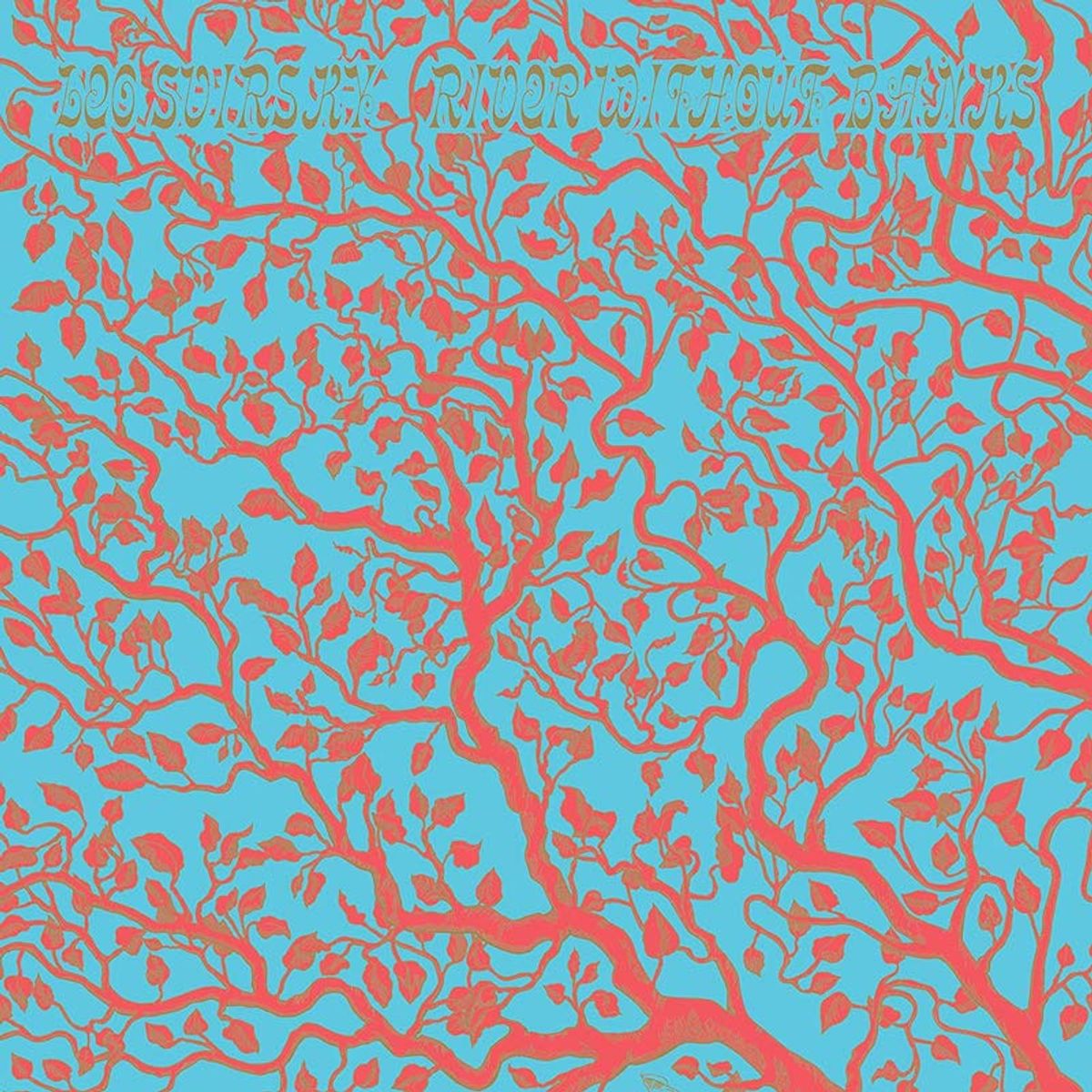 River Without Banks (CD)