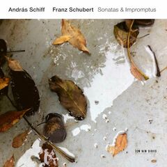 Schubert: Sonatas & Impromptus (CD)