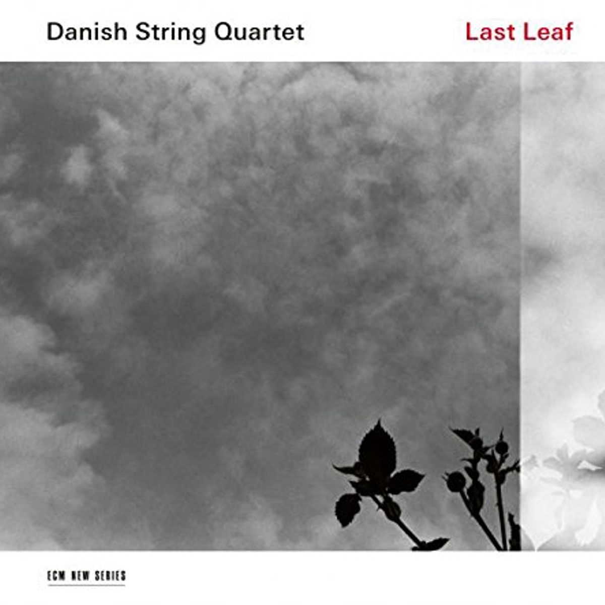 Last Leaf (CD)