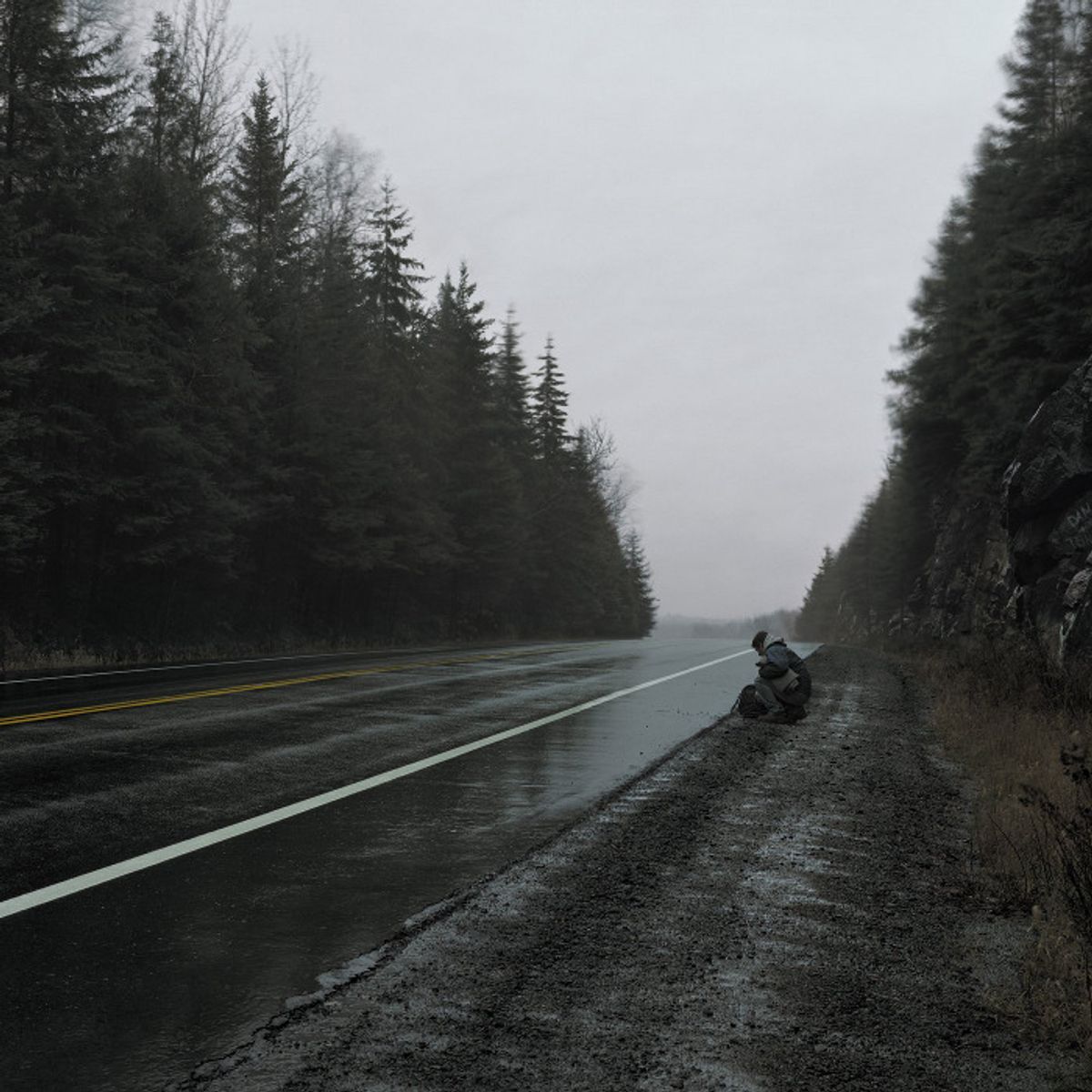 Fiction / Non-Fiction (LP)