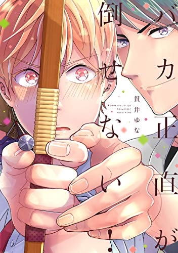 Baka Shoujiki ga Taosenai (BOOK)