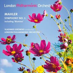 Hamelin: Etudes / Little Nocturne / Con Intimissimo Sentimento / Theme & Variations [Import] (CD)