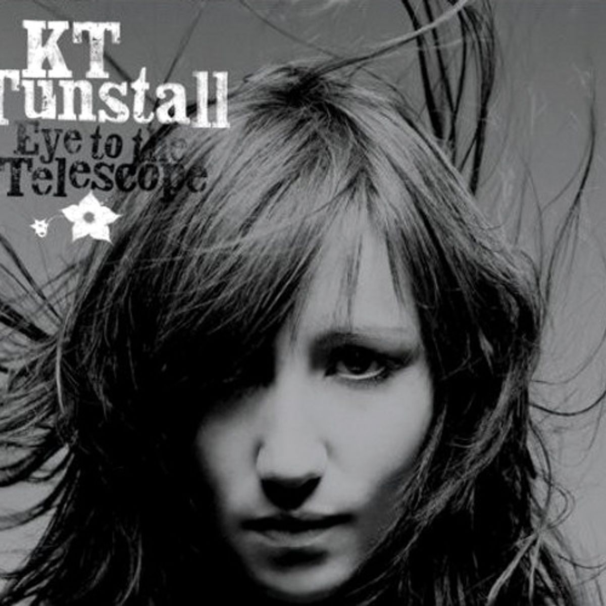 Eye To The Telescope [Deluxe Edition] (CD)
