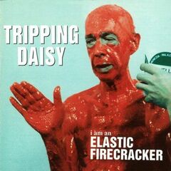I Am An Elastic Firecracker (CD)