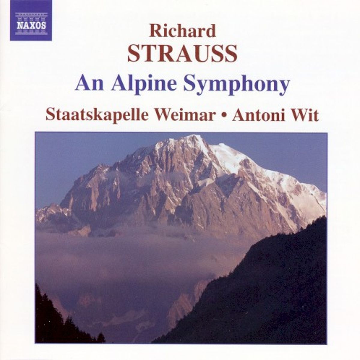 Qnt Pno Trout / Adagio & Rondo Concertante (CD)