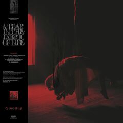 A Tear In The Fabric Of Life EP (CD)