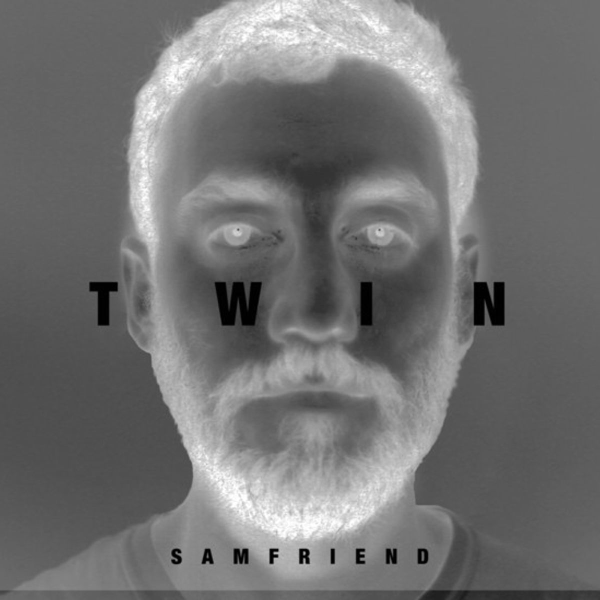 Twin (CD)