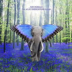 The Atlas Underground Flood (CD)