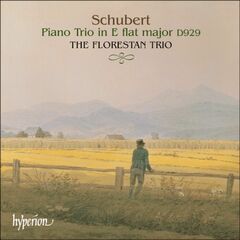 Medtner: Piano Concerto No.1 / Piano Quintet (CD)