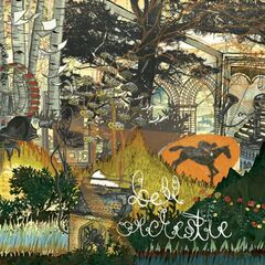 Recording A Tape The Colour Of The Light (CD)