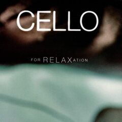 Piano Transcriptions Vol.8 (CD)