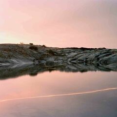 (An Overview On) An Overview On Phenomenal Nature (LP)