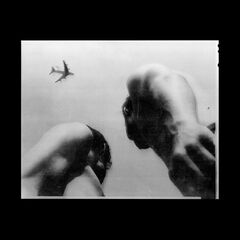 Metal Bird (LP)