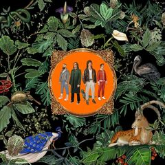 Amazing Things (CD)