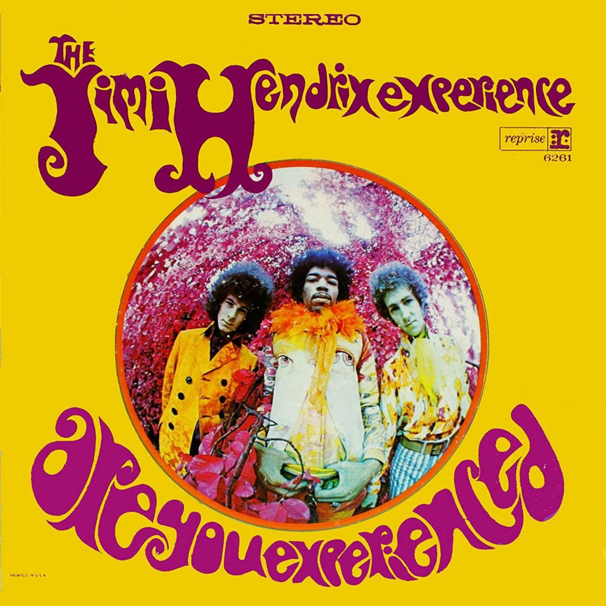 Are You Experienced [180 Gram Vinyl] (LP)