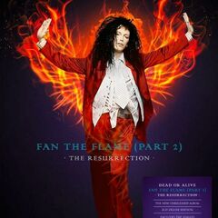 Fan The Flame (Part 2): The Resurrection (CD)