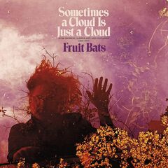 Sometimes A Cloud Is Just A Cloud: Slow Growers, Sleeper Hits & Lost Songs (2001 2021) [Colored Vinyl] (LP)