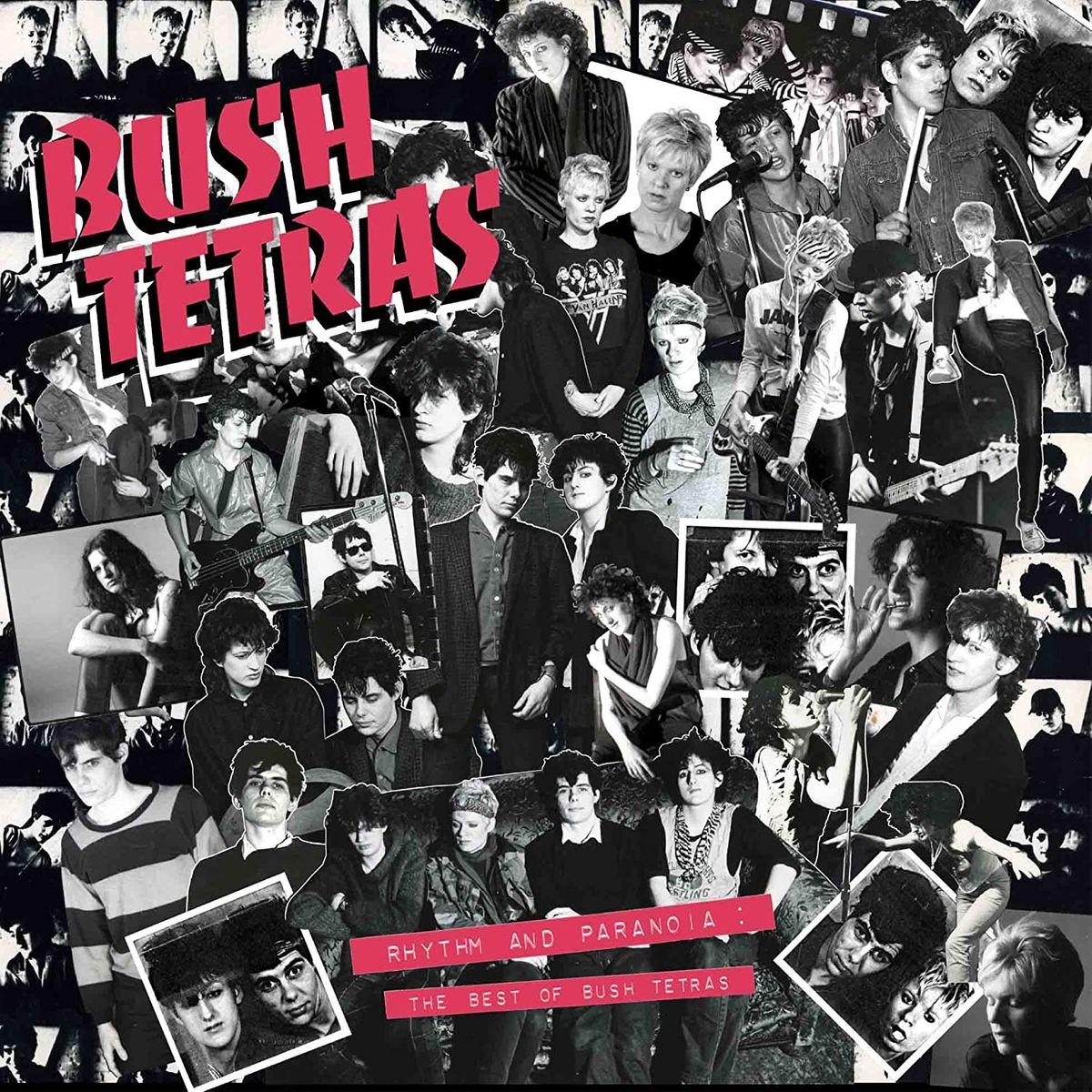 Rhythm & Paranoia: The Best Of Bush Tetras (LP)