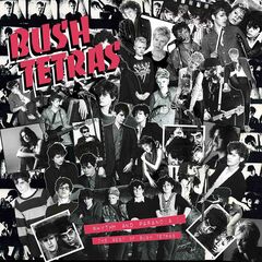 Rhythm & Paranoia: The Best Of Bush Tetras (LP)