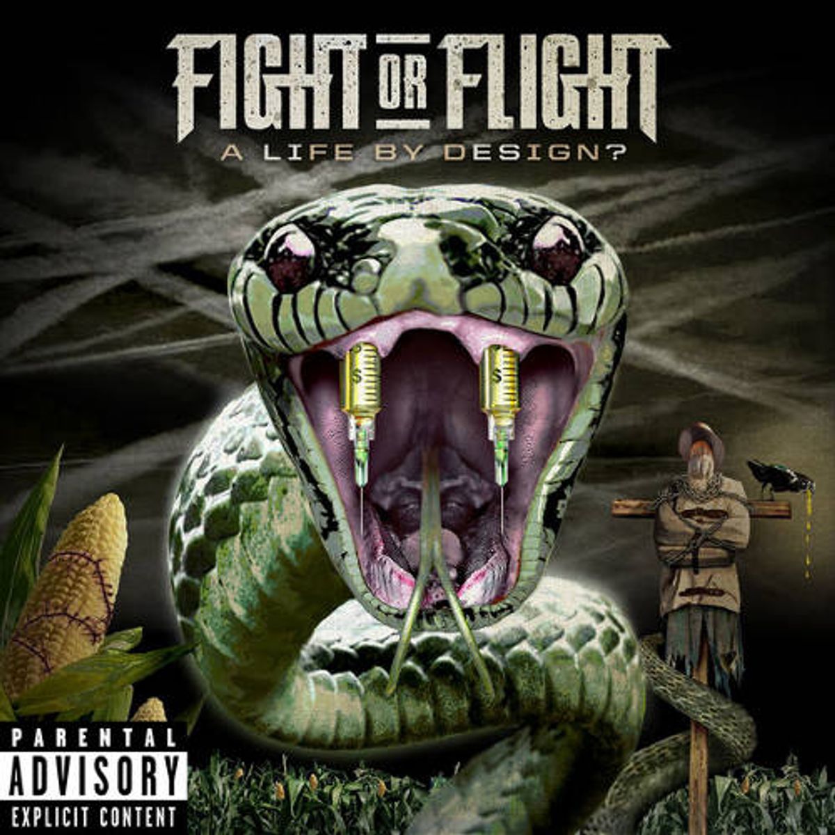 A Life By Design? (CD) [Explicit]
