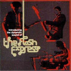 Introducing The Dynamite Sound (CD)