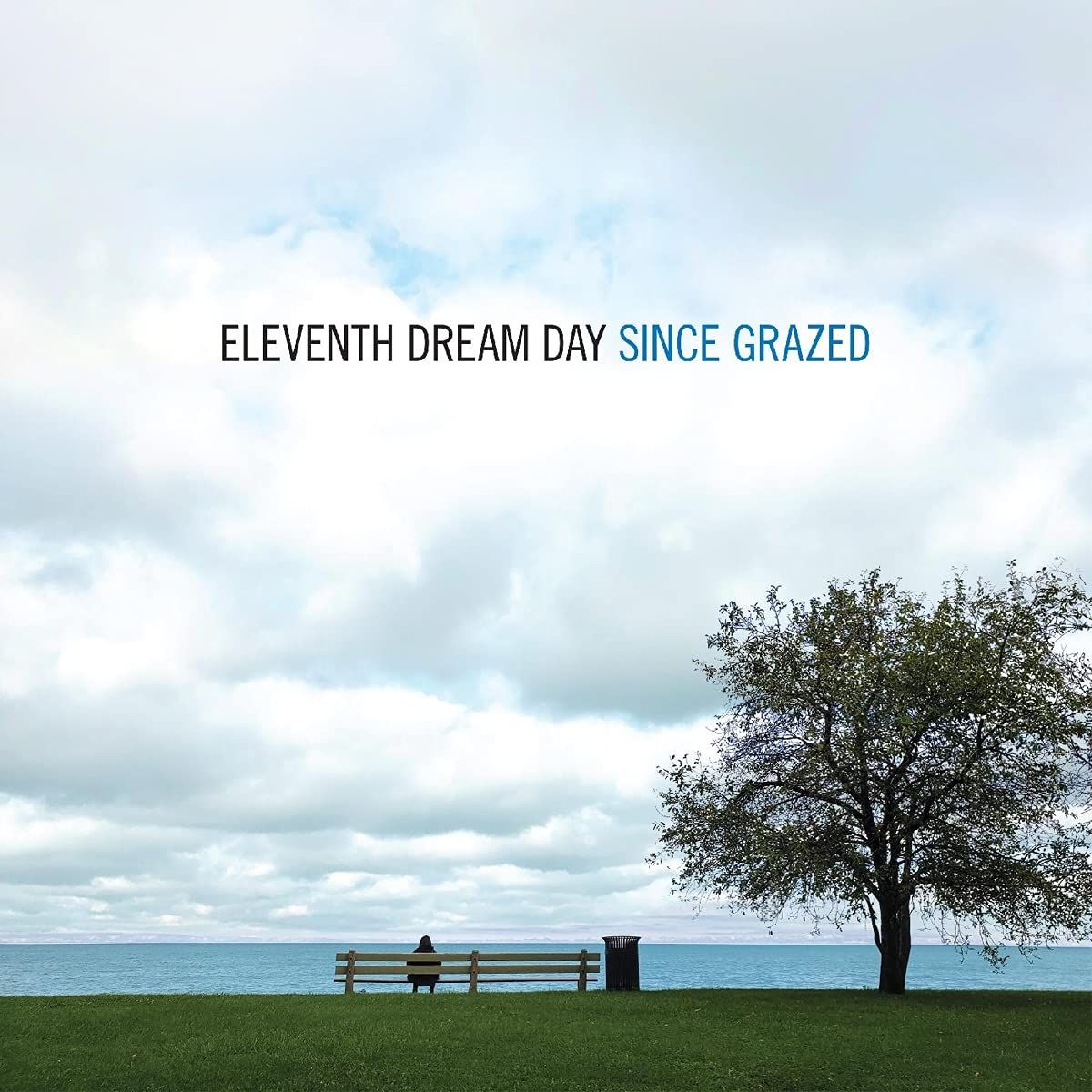 Since Grazed (LP)