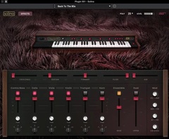 AIR Solina Virtual Instrument Plug-in