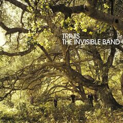 The Invisible Band [20th Anniversary Deluxe Edition Clear Vinyl] (LP)
