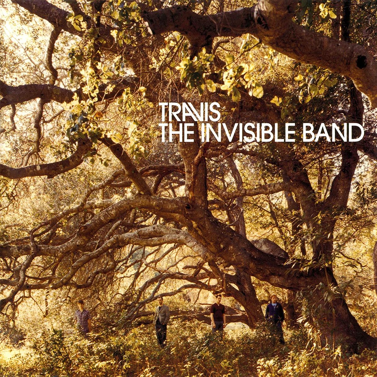 The Invisible Band [20th Anniversary Edition] (LP)