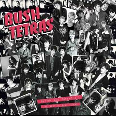 Rhythm & Paranoia: The Best Of Bush Tetras (CD)