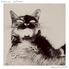Afraid Of Nothing (CD)