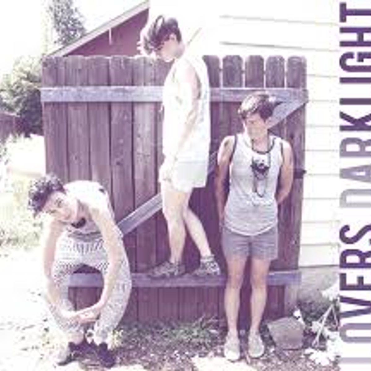 Dark Light (CD)