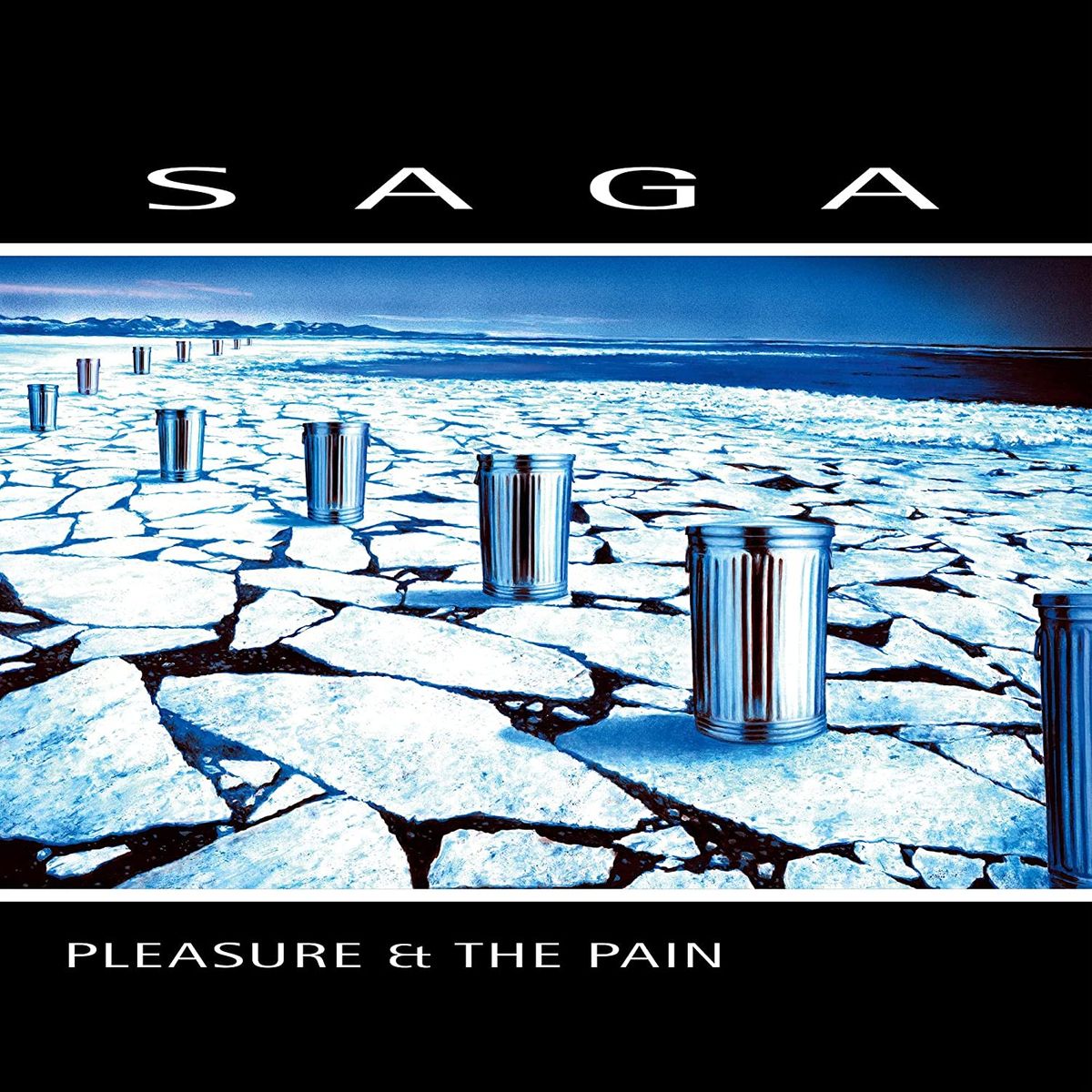 Pleasure & The Pain (CD)