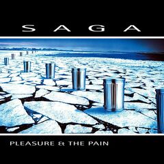 Pleasure & The Pain (CD)