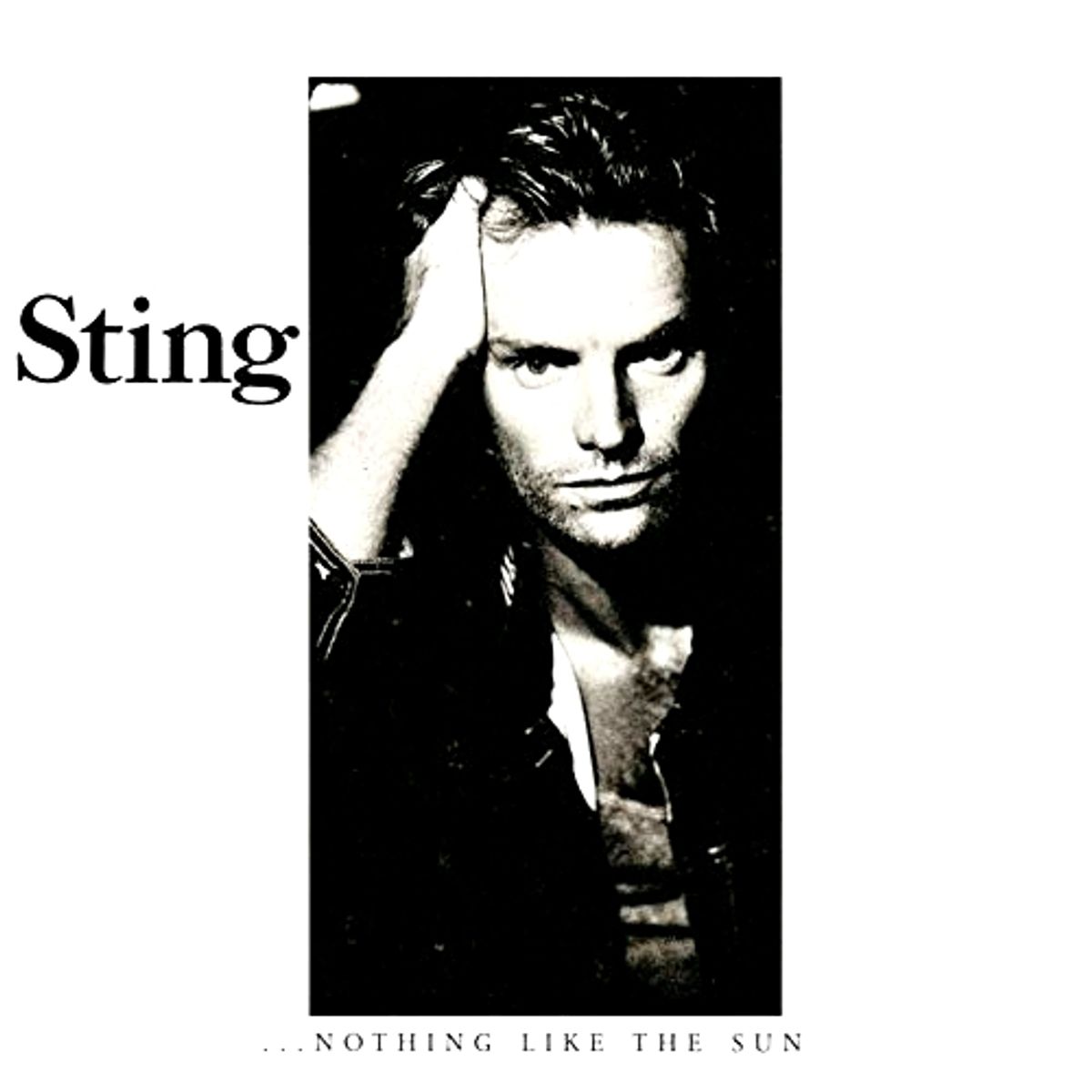 Nothing Like The Sun (CD)