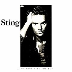 Nothing Like The Sun (CD)