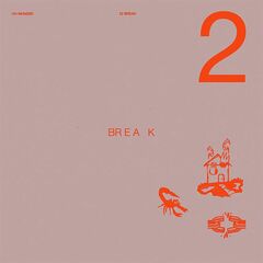 22 Break (CD)