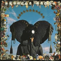 Goodbye Jumbo [180 Gram Vinyl] (LP)