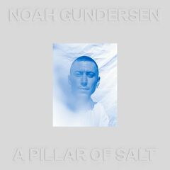 A Pillar Of Salt (LP)