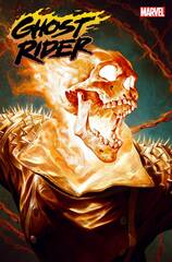 Ghost Rider #12 Artist Var (STL255786)
