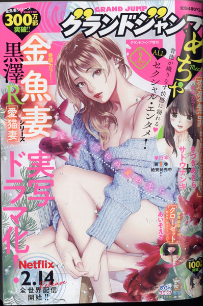 Grand JUMP Mecha (BOOK)