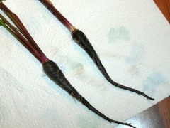 Carrot 'Pusa Asita Black'