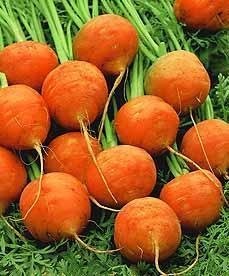 Carrot Baron