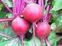 Beet Lalraj