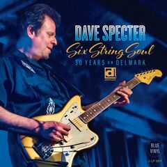 Six String Soul: 30 Years On Delmark [Blue Vinyl] (LP)
