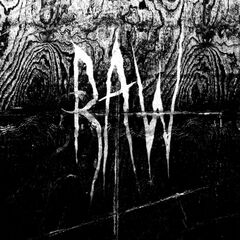 From The First Glass To The Grave (CD)