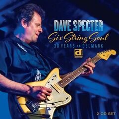 Six String Soul: 30 Years On Delmark (CD)