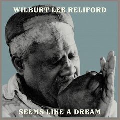 Seems Like A Dream (CD)
