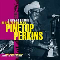 Chicago Boogie Blues Piano Man (CD)