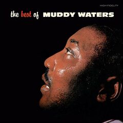 The Best Of Muddy Waters [180 Gram Brown Vinyl] (LP)